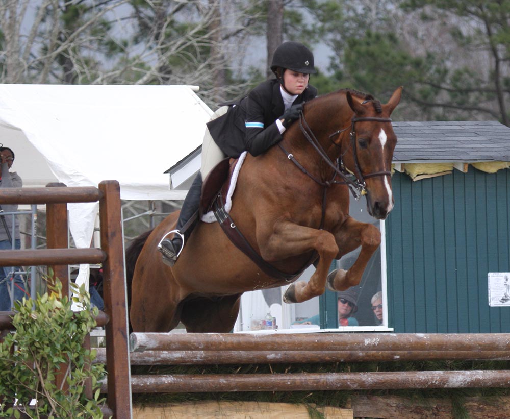 Alabama Horse Shows